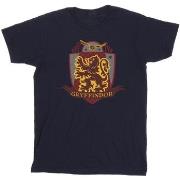 T-shirt enfant Harry Potter BI21885
