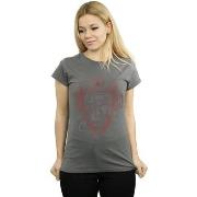 T-shirt Harry Potter BI23808
