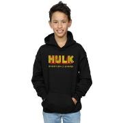 Sweat-shirt enfant Marvel AKA Robert Bruce Banner