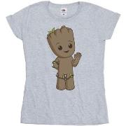 T-shirt Marvel I Am Groot