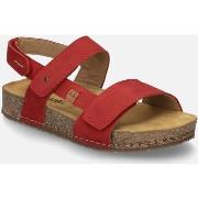 Sandales Josef Seibel Hannah 02, rot