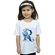 T-shirt enfant Harry Potter BI21252