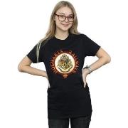 T-shirt Harry Potter Hogwarts