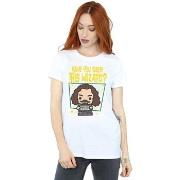 T-shirt Harry Potter BI26398