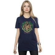 T-shirt Harry Potter BI26524