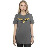 T-shirt Harry Potter Hufflepuff