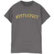 T-shirt Harry Potter Collegial Hufflepuff