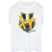 T-shirt Harry Potter Hufflepuff Pop Spray