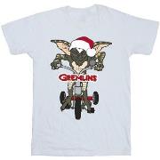 T-shirt Gremlins BI28771