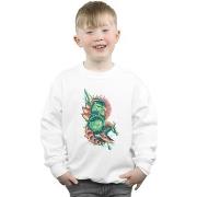 Sweat-shirt enfant Dc Comics Xebel