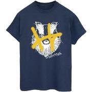 T-shirt Harry Potter Hufflepuff Pop Spray