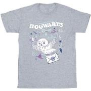 T-shirt Harry Potter BI30741
