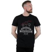 T-shirt Harry Potter Quidditch At Hogwarts