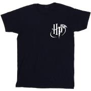 T-shirt Harry Potter BI29140