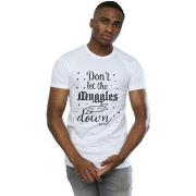 T-shirt Harry Potter BI29346