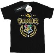 T-shirt Harry Potter Quidditch Crest