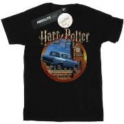 T-shirt Harry Potter BI30239