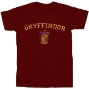 T-shirt Harry Potter BI30438