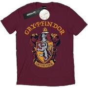 T-shirt Harry Potter Gryffindor