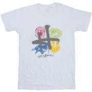 T-shirt Harry Potter Emblems H Spray