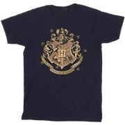 T-shirt Harry Potter BI30898