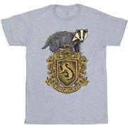 T-shirt Harry Potter Hufflepuff