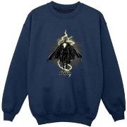 Sweat-shirt enfant Dc Comics BI7552