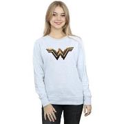 Sweat-shirt Dc Comics Justice League