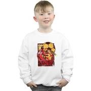 Sweat-shirt enfant Dc Comics BI7953