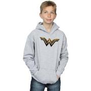 Sweat-shirt enfant Dc Comics Justice League