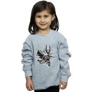 Sweat-shirt enfant Dc Comics BI8270