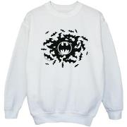 Sweat-shirt enfant Dc Comics BI8357