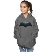 Sweat-shirt enfant Dc Comics Justice League