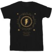 T-shirt Dc Comics Shazam Fury Of The Gods Golden Spiral Chest