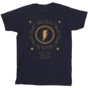 T-shirt Dc Comics Shazam Fury Of The Gods Golden Spiral Chest