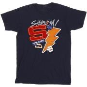 T-shirt Dc Comics Shazam Fury Of The Gods Sticker Spam