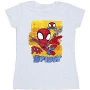 T-shirt Marvel Spidey And His Amazing Friends