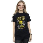 T-shirt Dessins Animés Tweety Pie More Puddy Tats