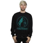 Sweat-shirt Dc Comics BI8798