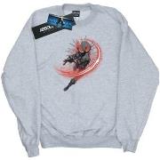 Sweat-shirt Dc Comics BI8886