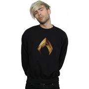 Sweat-shirt Dc Comics BI8965