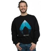 Sweat-shirt Dc Comics Aquaman Ocean Logo