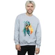 Sweat-shirt Dc Comics BI9265