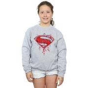 Sweat-shirt enfant Dc Comics BI9944