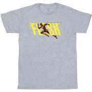 T-shirt Dc Comics BI47939