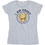 T-shirt Guardians Of The Galaxy Groot Varsity