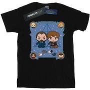 T-shirt Fantastic Beasts BI24741