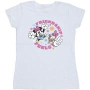 T-shirt Disney Friendship