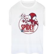 T-shirt Marvel Spidey And His Amazing Friends