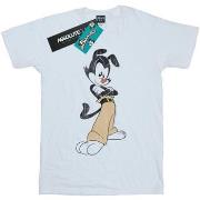 T-shirt Animaniacs Yakko Classic Pose